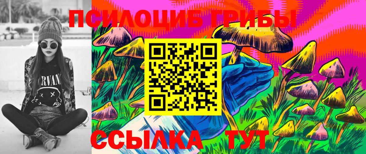 Нововоронеж  Галлюциногенные грибы Cubensis  Вход с VPN  как найти закладки  Псилоцибиновые грибы GOLDEN TEACHER 