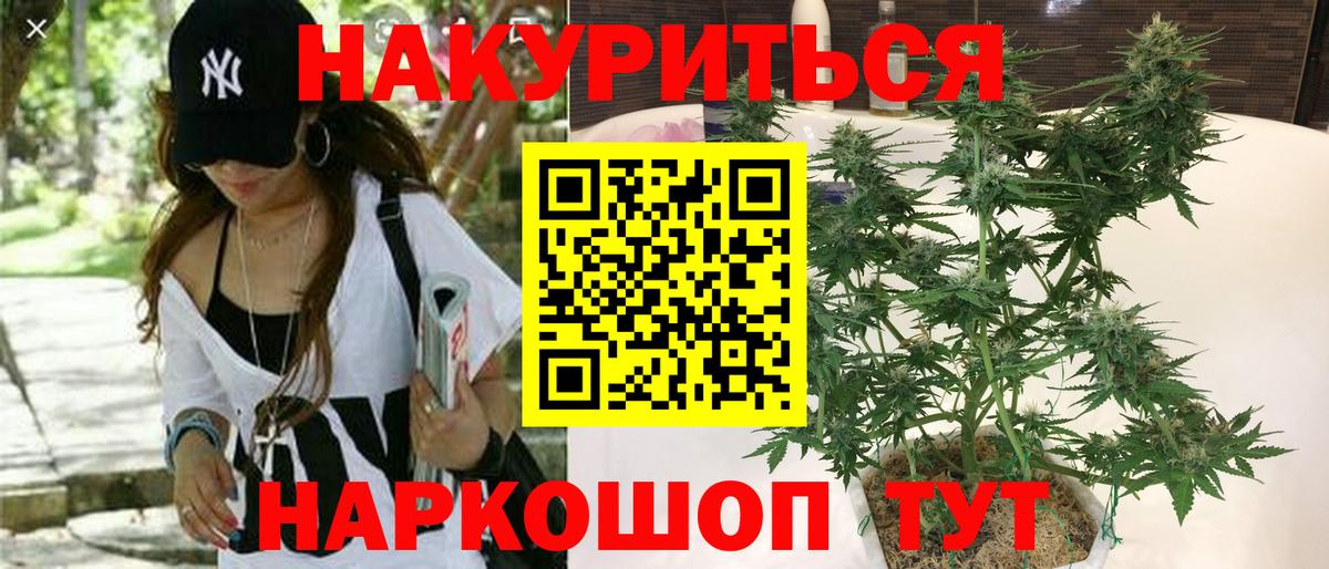 Канабис ГИДРОПОН  Бошки Шишки OG Kush  Вход с VPN  Нововоронеж  Каннабис гибрид 